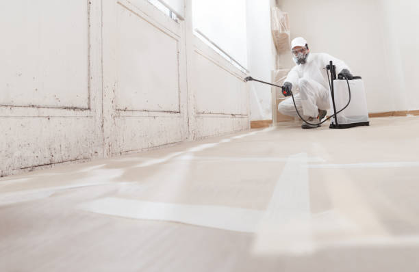 24/7 Emergency Mold Remediation experts in Milroy, PA