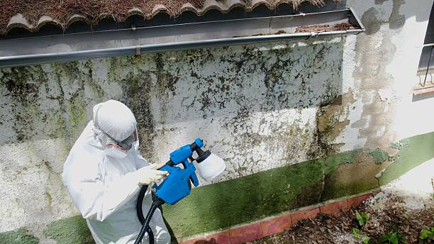 Top rated local Mold Remediation specialists in Milroy, PA